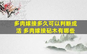 多肉嫁接多久可以判断成活 多肉嫁接砧木有哪些